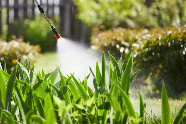 24/7 Emergency Mosquito Control experts in North Valley Stream, NY